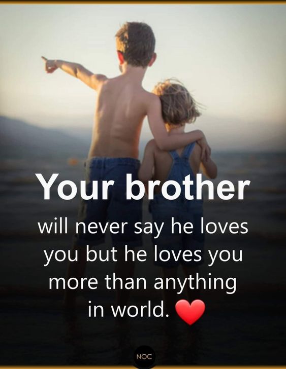 Best Brother Quotes And Sibling Sayings - Boostupliving